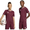 Marškinėliai vaikams adidas Entrada 26 Jersey bordinė JZ2530 (128cm)