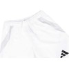 Šortai vyrams adidas Tiro 24 Competition Match balta IQ4756 (S)
