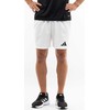 Šortai vyrams adidas Tiro 24 Competition Match balta IQ4756 (S)