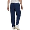 Sportinės kelnės vyrams Adidas Entrada 22 Pre Panty M HB5329, mėlynos