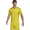 Vyriški marškinėliai adidas Condivo 22 Goalkeeper Jersey Short Sleeve geltona HF0138 (M)
