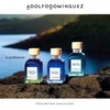 Tualetinis vanduo Adolfo Dominguez Agua Fresca Eau De Toilette Purškiklis, 120ml