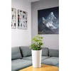 Adoni Baltas medvilninis gėlių vazonas su įdėklu 22x36 cm – rankų darbo (adoni-ba-wht-36)