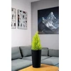 Adoni juodas medvilninis vazonas su įdėklu 22x36 cm – rankų darbo (adoni-ba-blk-36)
