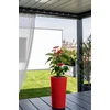 Adoni Doniczka bawełniana raudona su wkładem 36 cm – ręcznie robiona (adoni-ba-red-36)