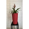 Adoni Doniczka bawełniana raudona su wkładem 36 cm – ręcznie robiona (adoni-ba-red-36)