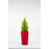 Adoni Doniczka bawełniana raudona su wkładem 36 cm – ręcznie robiona (adoni-ba-red-36)
