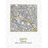 Plakatas Affek Design Image Miesto planas Paryžius 45x60x1,8 cm