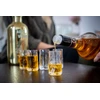 Affek Design Degtinės taurelė Club 40ml permatoma 3798535
