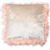 Mondeks Mondex LORETA BEIGE Plunksnų pagalvė 44x44cm