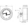 Afriso termomanometras TM80 0-10 bar 1/2 AX 20-120^C (S)A