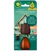 Oro gaiviklio užpildas AIR WICK Aroma Mist Eukaliptų ir kedrų kvapo, 20 ml