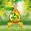 Dėklas AIR WICK Essential Oils Kasetė do elektrycznego odświeżacza powietrza Mėlyna Eukaliptus i Drzewo Cedrowe 19 ml