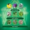 Dėklas AIR WICK Essential Oils Kasetė do elektrycznego odświeżacza powietrza Mėlyna Eukaliptus i Drzewo Cedrowe 19 ml