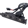 Akasa vidinis USB 3.0/2.0 į išorinį USB-C ir 2x USB 2.0 Type-A adapterio laidas - 40 cm, juodas