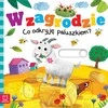 Aksjomat Aksioma Kieme Ką atrasiu pirštu? 36944