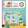 AKSJOMAT ALBUM Z NAKLEJKAMI. MAŁA PROJEKTANTKA. WYJĄTKOWE WNĘTRZA