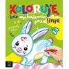 Aksjomat Minkštas spalvinimo albumas su pūkeliu KS1026