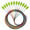 Alantec Pigtail SM 1J 9/125 wtyk LC/APC dł. 2 m ''EASY STRIP'' pakuotė. 12 vnt. wielokolorowe (FOI-LCA-9SM-2-OP)