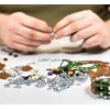 Alexander Metalinis konstruktorius – Dinozaurai – Triceratopsas (264 vnt.)