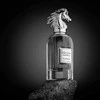 Paris Corner Kaheela Platinum EDP parfumuotas vanduo unisex, 85 ml