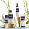 "Phyto Paris" sausas šampūnas 75ml
