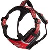 All For Dogs Viskas šunims VISI ŠUNIMS SZELKI 2x-SPORT CZERWONE M