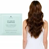 Alterna „My Hair My Canvas“ vėsinamoji drėkinamoji maitinamoji kaukė 7,39 ml