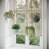 AmeliaHome GĖLĖS/AH/LOKAI/Juodas/15,4X10