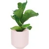 AmeliaHome FLOWERERPOT/AH/PASO/POWDERPINK/9X9,8