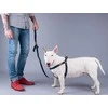 Ami Play Reguliuojamos petnešos Amiplay Denim, mėlyna, 300-550x15 mm