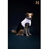 Ami Play Amiplay JACKET FOR DOGS FLUO Juodas. Baltas 25