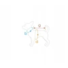 Ami Play Amiplay JACKET FOR DOGS FLUO Juodas. Baltas 50