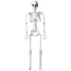 ROSA Nežinomas DEKORACIJA SKELETAS H90CM