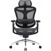 Biuro kėdė Sihoo DORO C300 Pro Mesh, Juoda