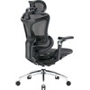Biuro kėdė Sihoo DORO C300 Pro Mesh, Juoda