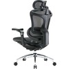 Biuro kėdė Sihoo DORO C300 Pro Mesh, Juoda