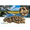 Angel Sport Protein Balls 303 + Competition 18 mm Mr. Fish