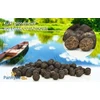Angel Sport Protein Balls 909 DARK Cool 18 mm Mr. Fish