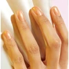 Anny Manucurist Žalias Flash Nagų lakas lakier do paznokci Pamplemousse 15ml
