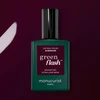 Anny Manucurist Žalias Flash Nagų lakas lakier do paznokci Aubergine 15ml