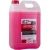 EXPERT Antifrizas G12 5L