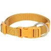 Trixie Premium antkaklis, XS-S: 22-35 cm/10 mm, kario