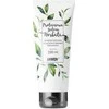 Anwen baltyminė žalioji arbata, 200 ml