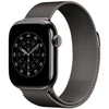 Apple 42mm Slate Milanese Loop