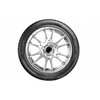 Apple Universalios padangos Apollo Alnac 4G All Season 165/65 R14 79 T (D C B 69dB)