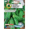 Cucumber Ground Portal PNOS Seeds on Tape, 6m Roll