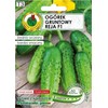 Ground Cucumber Reja F1 PNOS Seeds on Tape, 6m Tape