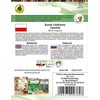 Opole Beetroot PNOS Coated Seeds, Pack of 100
