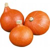Giant Pumpkin Dolores PNOS daržovių sėklos, 5g pakuotė